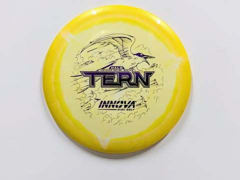 Tern Yellow / 170-172