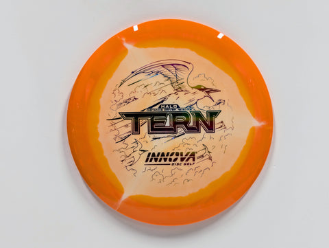 Tern Orange / 170-172