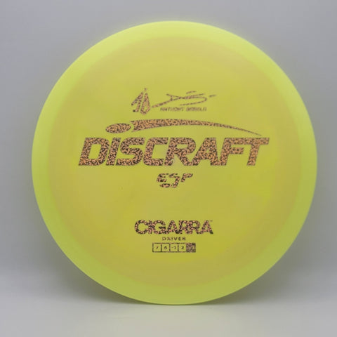 Cigarra - Chains Disc Golf