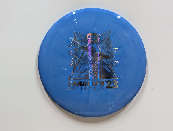 Paradigm - Chains Disc Golf